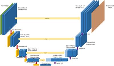 Translational AI and Deep Learning in Diagnostic Pathology